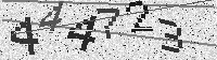 Security code image