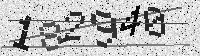 Security code image