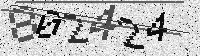 Security code image
